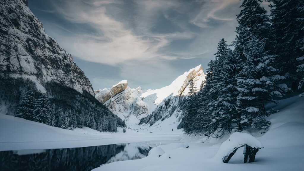 Weihnachten in Gefahr