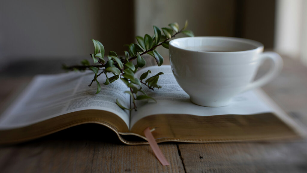 Die verändernde Kraft der Bibel (Teil 1)